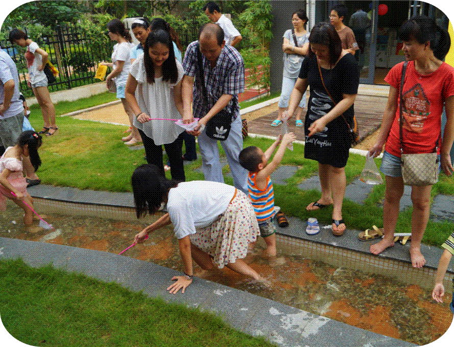 1435199349777313.gif 图形4.gif