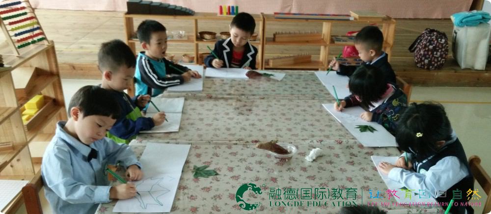 1471712663915497.jpg 1_副本.jpg