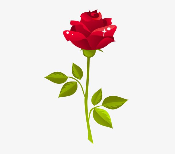 1552897821601402.jpg 微信图片_201903081608593.jpg