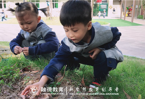 1605575827484673.jpg 微信图片_20201110151233.jpg