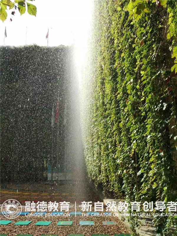 1653375560875960.jpg image11.jpg