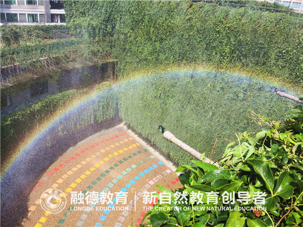 1653375578200265.jpg image16.jpg